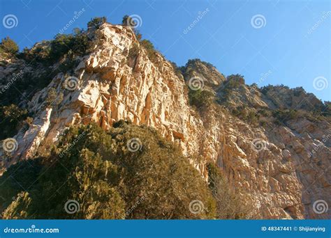 Steep cliff stock image. Image of bush, rocks, precipice - 48347441