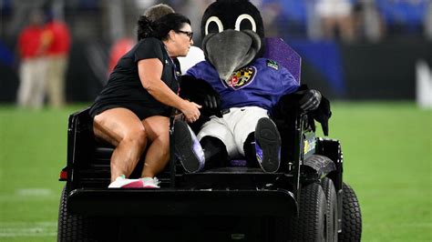 Ravens mascot Poe has a season-ending injury | wusa9.com