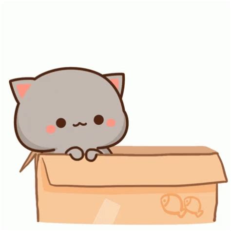 Peachcat Hi GIF - Peachcat Hi Hello - Discover & Share GIFs | Mèo, Mèo ...