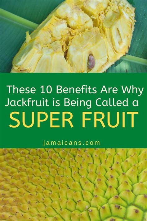 These 10 Benefits Are Why Jackfruit is Being Called a Super Fruit - Jamaicans.com in 2021 ...