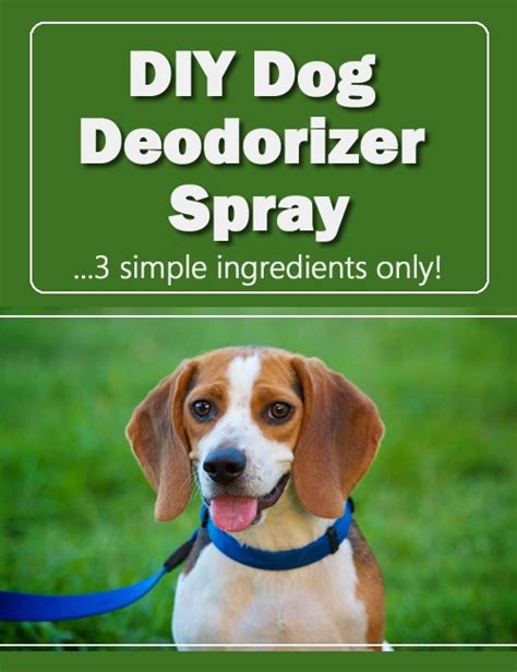 DIY Dog Deodorizer Spray