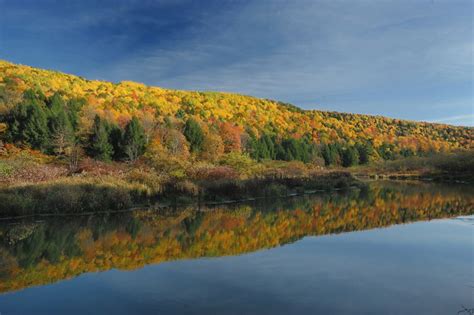 Fall Foliage in the Finger Lakes | Finger Lakes Region | Fall foliage, Keuka lake, Natural landmarks