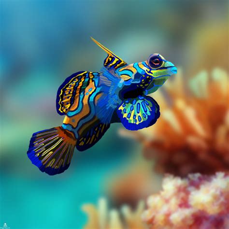 Great Barrier Reef Mandarinfish by pamelap | Beautiful sea creatures, Mandarin fish, Ocean creatures