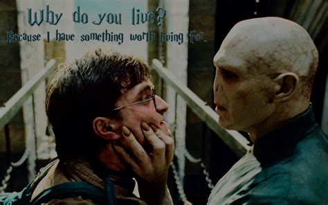 Voldemort From Harry Potter And The Deathly Hallows D - vrogue.co