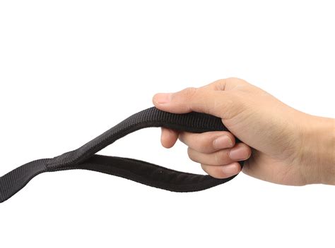 Dog Training Leash — Item #617881