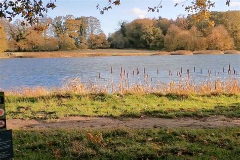 Blickling Lake, Norfolk | Fishery Guide