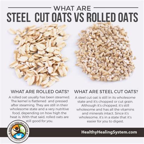 What Are Steel Cut Oats vs Rolled Oats | Healthy Healing System