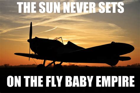 Fly Baby Memes