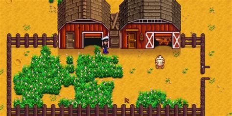 Stardew Valley: How To Get A Barn (& Make It Worth Your While)