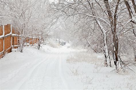 February Snow Photograph by Theresa Tahara - Fine Art America