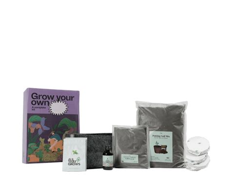 Coriander Growing Kit