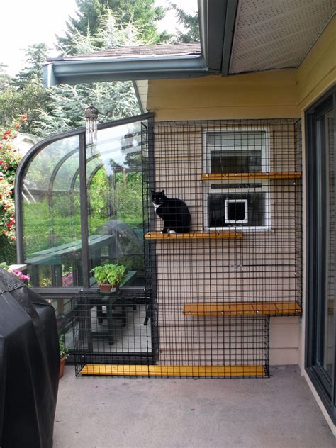 10 Catios & Cat Enclosures Your Cats Will Thank You For