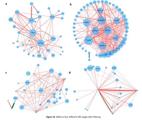 Gene Regulatory Network Analysis – Ancheng's Playground