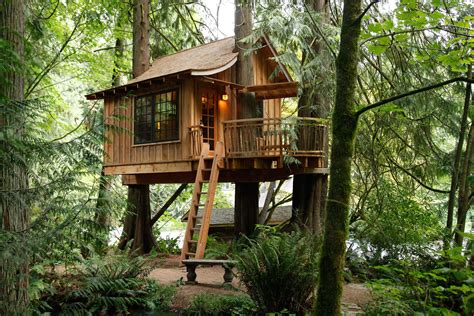 Top 15 Best Tree House Hotels In The World