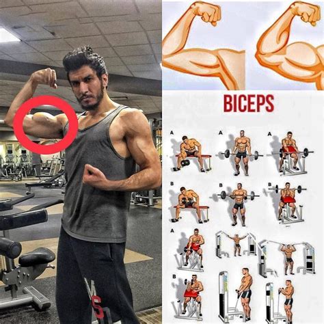 Biceps Exercises | Video Training - weighteasyloss.com