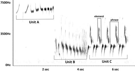 Using song dialects to reveal migratory patterns of Ruby-crowned Kinglet populations - Journal ...