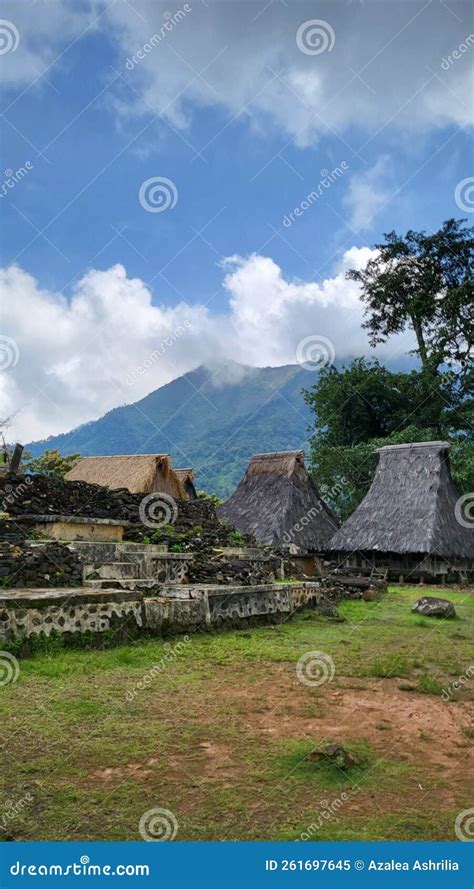 This Traditional House Called Rumah Adat Musalaki is a Special ...