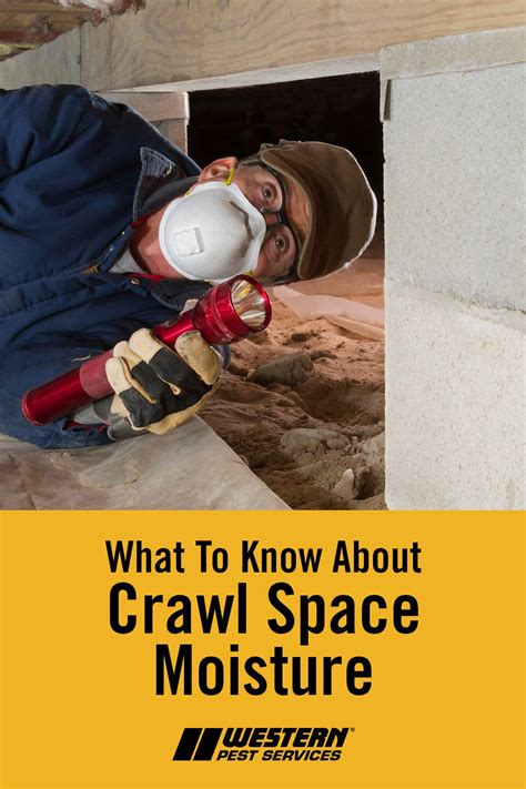 What You Need To Know About Crawl Space Moisture | Crawlspace, Roof repair, Home repair