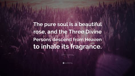 John Vianney Quote: “The pure soul is a beautiful rose, and the Three Divine Persons descend ...