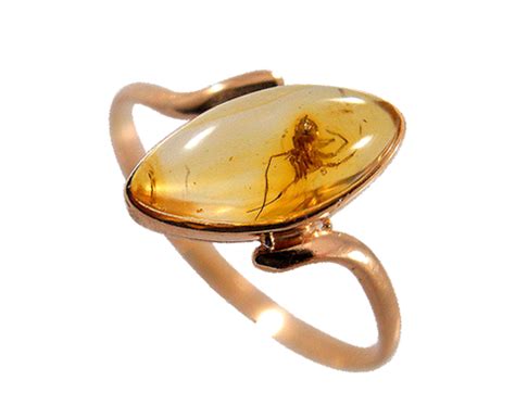 Bugs in Amber Fossils | Barbara Michelle Jacobs Jewelry