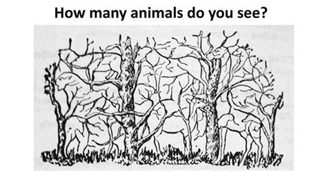 Here in this Picture Puzzle, there are many animals and animal faces are hidden. Can you find ...