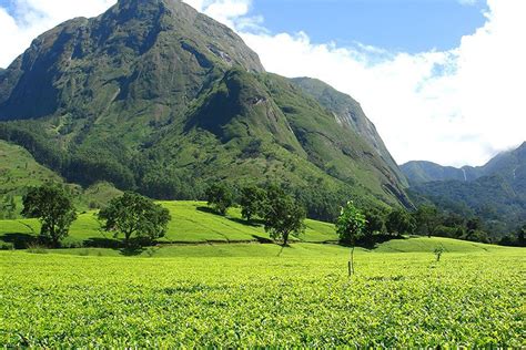 Mulanje Mountains Malawi — Hiking Mulanje highest Peak in Malawi