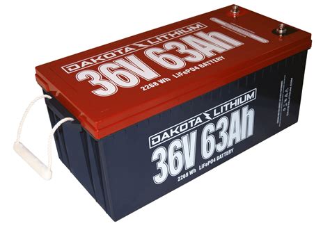 Dakota Lithium 36v Golf Cart Battery Set