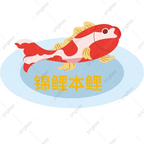 Koi Fish Clipart Transparent Background, Red Cartoon Fish Koi Online ...