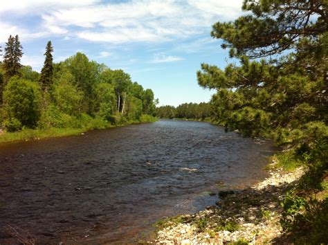 Rod's Miramichi Fishing Reports: Miramichi River Salmon Fishing Improving