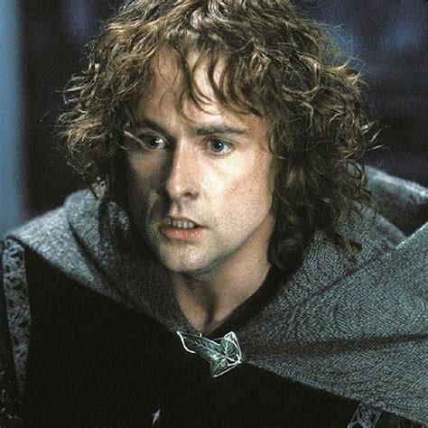 Peregrin Took aka Pippin.