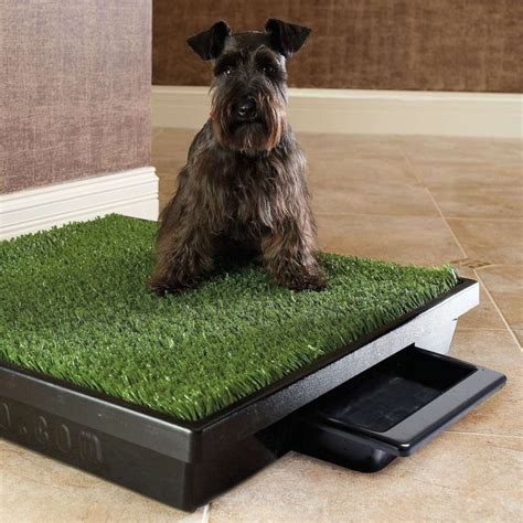 8930 large porch potty standard | Indoor dog potty, Dog potty, Dog grass box