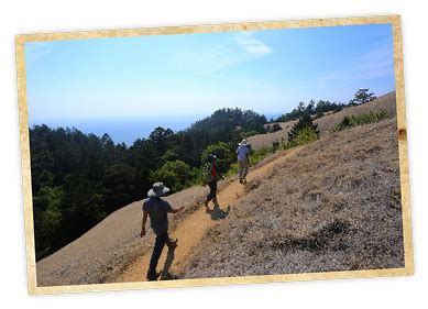 Hikes at Stinson Beach | Outdoors adventure, Stinson beach, Bay area hikes