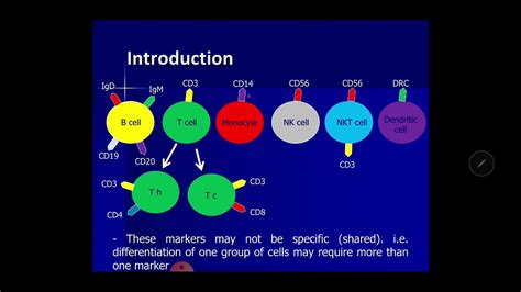 Cell surface markers 2 - YouTube