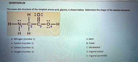 question 24 the lewis dot structure of the simplest amino acid glycine ...