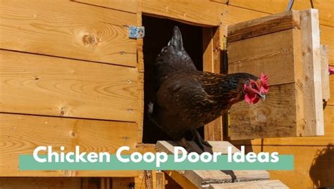 Chicken Coop Door Ideas - EcoPeanut