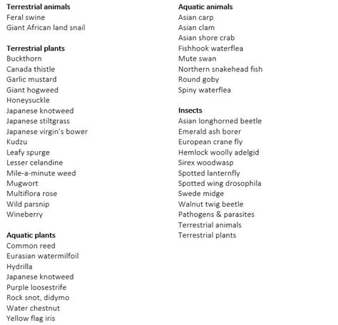 Invasive Species | Nature Up North