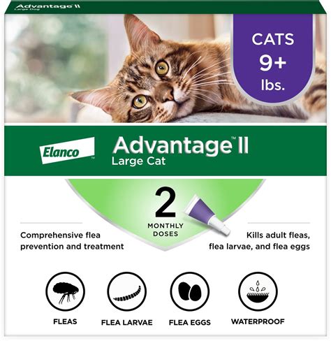 Advantage Ii Cat - melaniroski