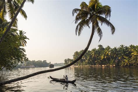 11 Dreamy Photos of Kerala's Backwaters Attractions