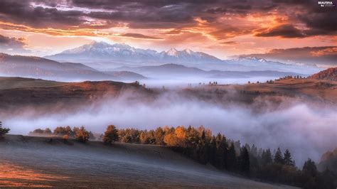 clouds, Sunrise, woods, Fog, Carpathian Mountains - Beautiful views wallpapers: 2500x1406