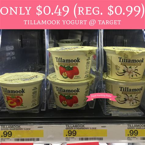 Only $0.49 (Regular $0.99) Tillamook Yogurt @ Target - Deal Hunting Babe