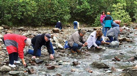 Juneau, Alaska Day Tour; Gold Panning, Alaska Salmon Bake; Gold Creek