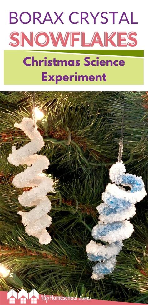 Christmas Science Experiment: Borax Crystal Snowflakes