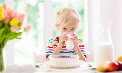 Best Breakfast Cereals for Kids | The Biting Truth