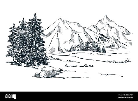 Mountains, spruce and pine trees landscape, vector sketch illustration ...