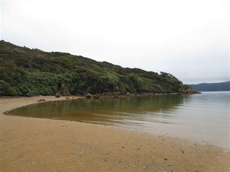 5 interesting facts you might not know about Stewart Island/Rakiura