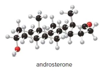 Answered: androsterone | bartleby