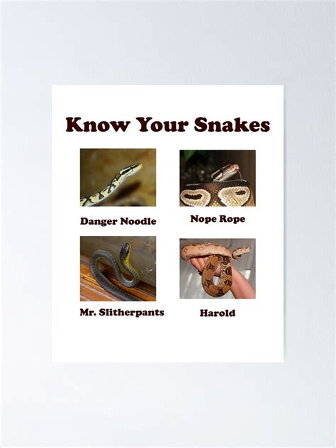 "Know Your Snakes Nope Rope Danger Noodle" Poster by Croneda | Redbubble