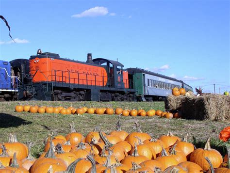 Ride the Pumpkin Patch Train