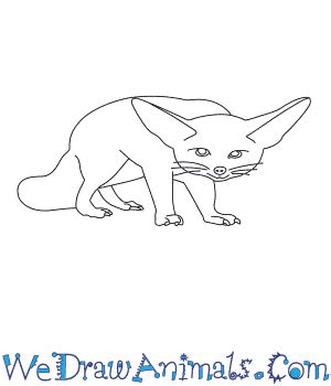 Fennec Fox Easy Cute Baby Fox Drawing - bmp-news