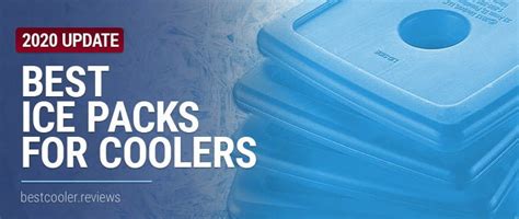 Best Ice Packs for Coolers You Can Get Right Now (2020 Reviews)